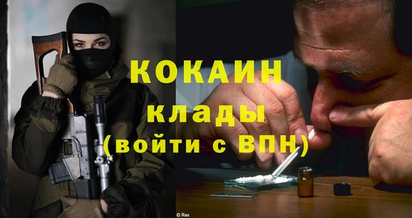 молекула духа Бронницы
