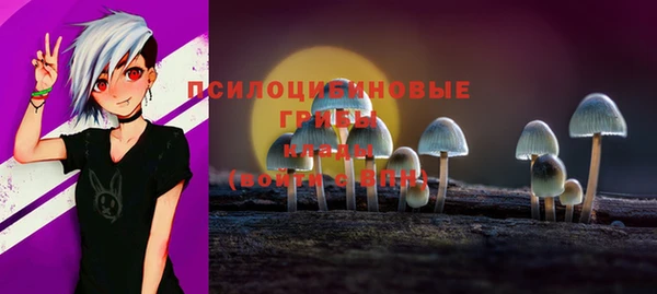 шишки Бугульма