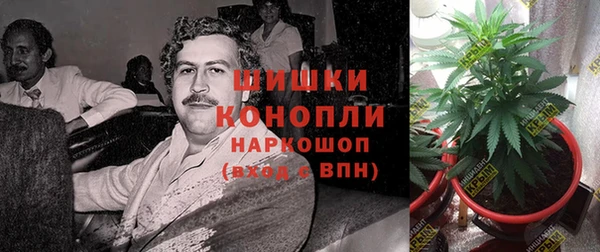 каннабис Бородино