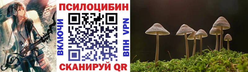 Псилоцибиновые грибы прущие грибы  Фёдоровский 